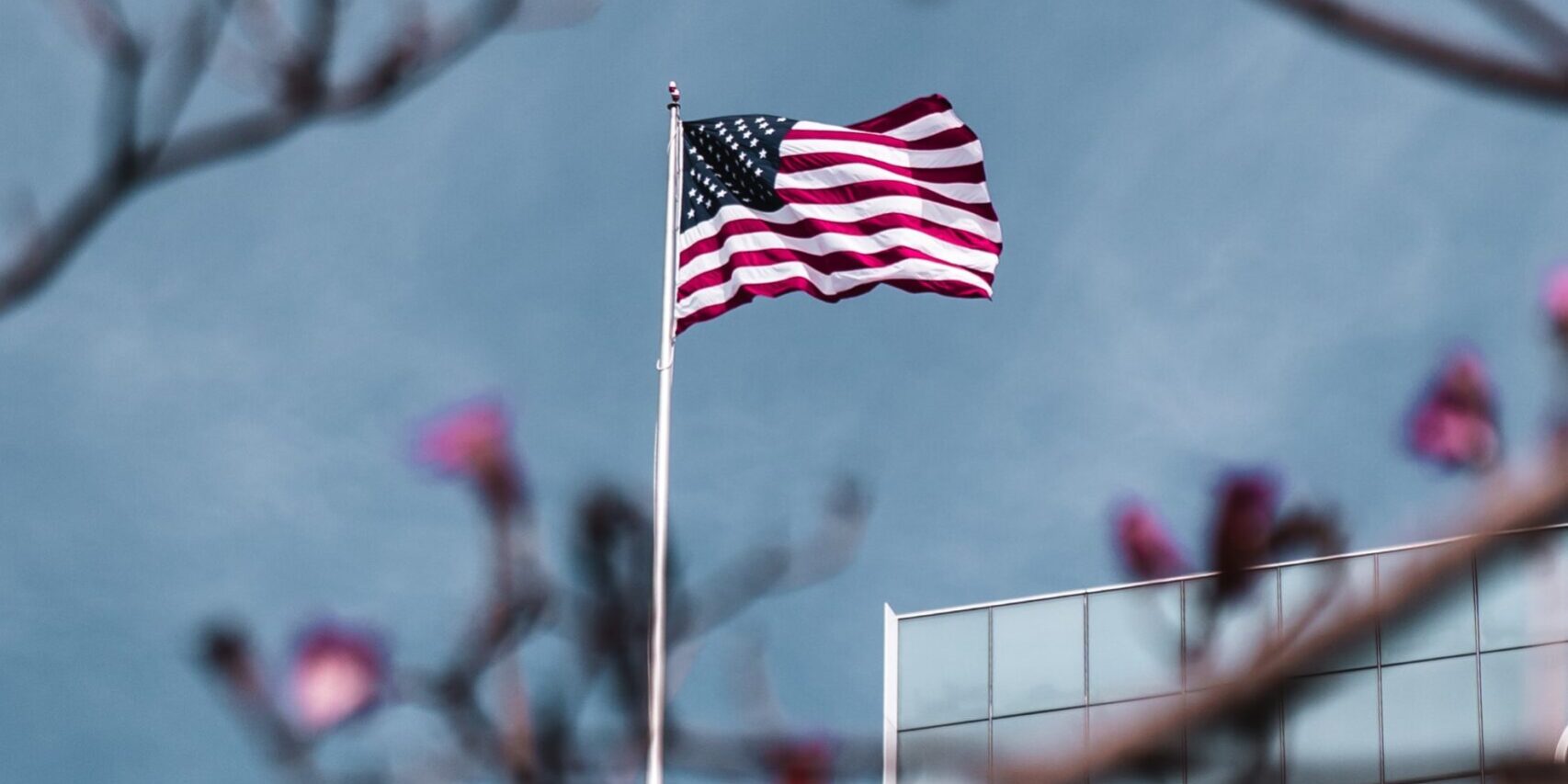 Asian Americans Rising Asian Americans Rising