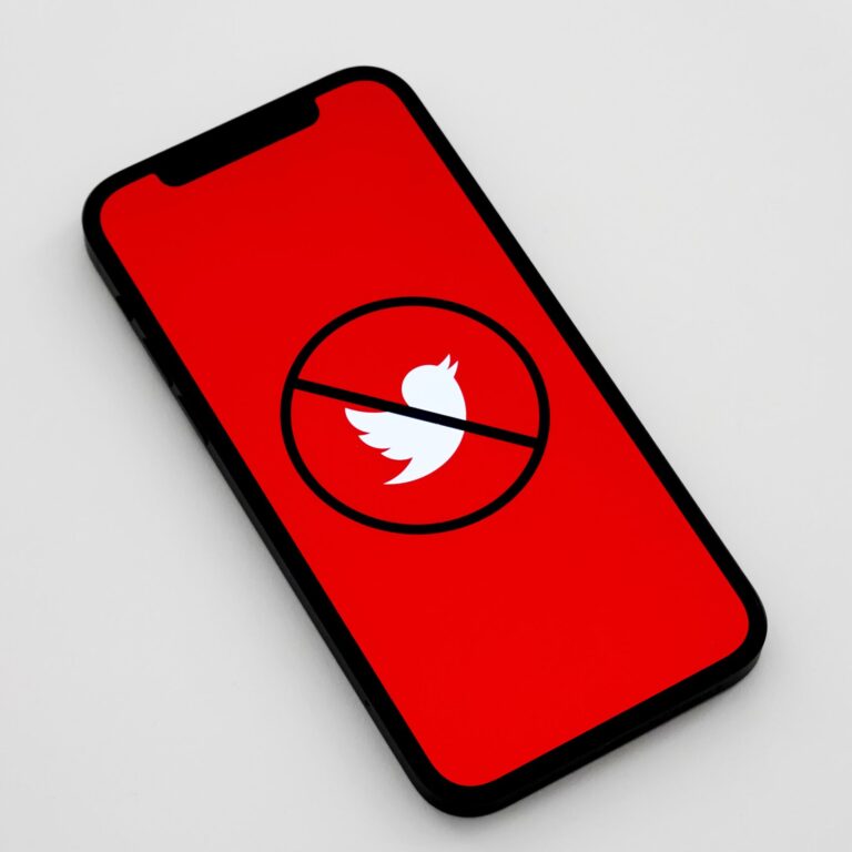 Twitter ban